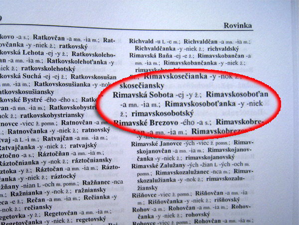 Pravidlá slovenského pravopisu