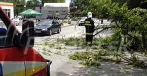 spadnuty strom Cukrovarská ulica