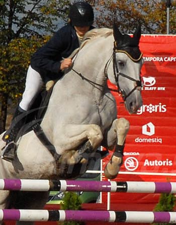 Equestrian Challeng Kurinec