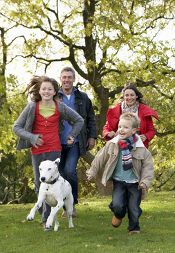 Adjunk életet a Városkertnek