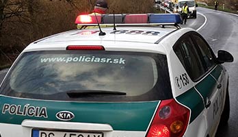 policia-cesta