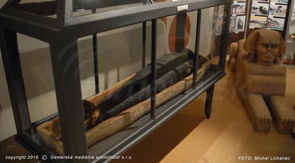 muzeum-mumia