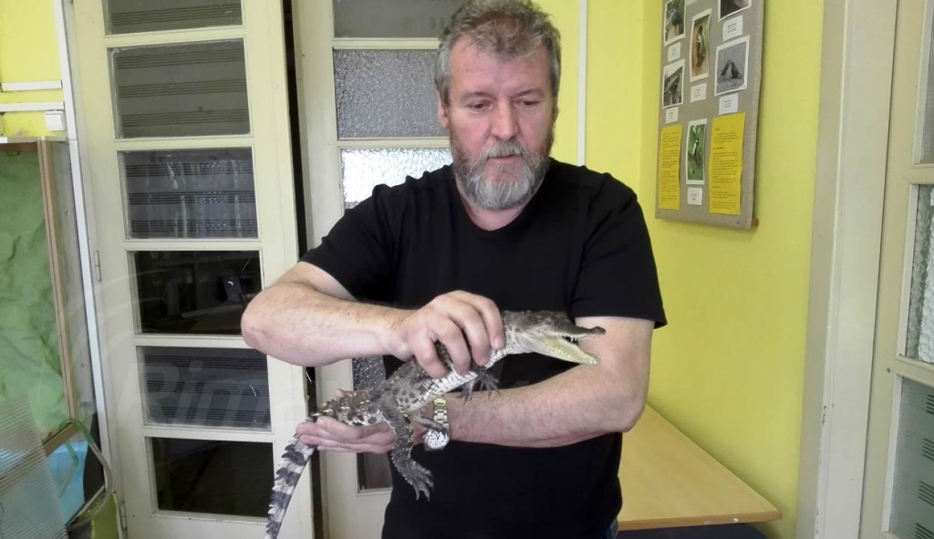 Pavol Novotný a Krokodíl siamsky