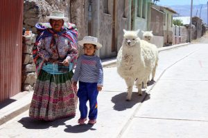 Hor sa za divočinou do Peru - Jana Janove