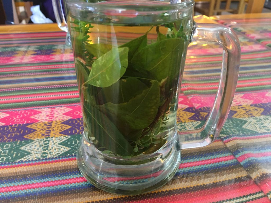 čaj z koky - Hor sa za divočinou do Peru - Jana Janove
