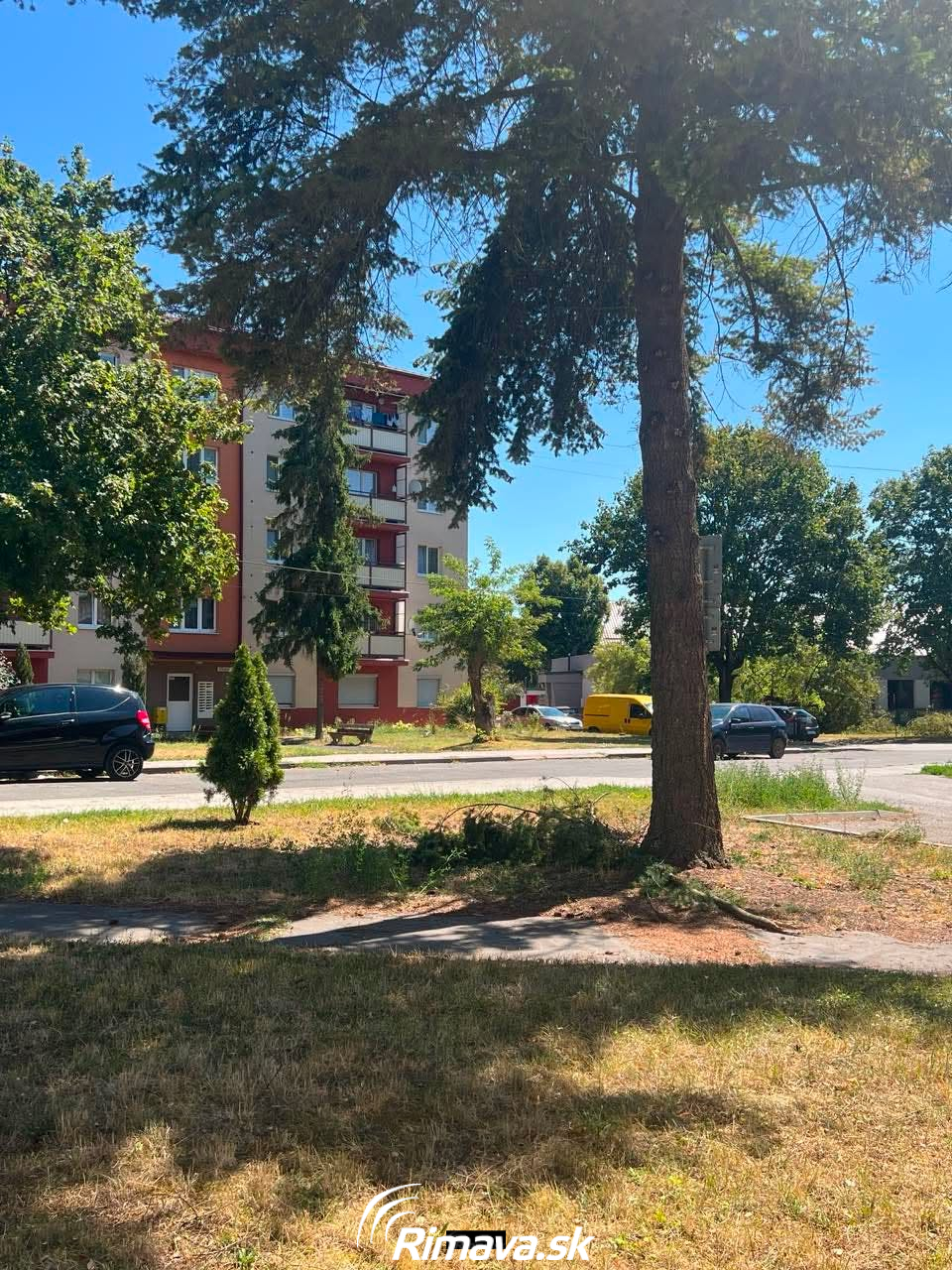 Stromy v Rimavskej Sobote