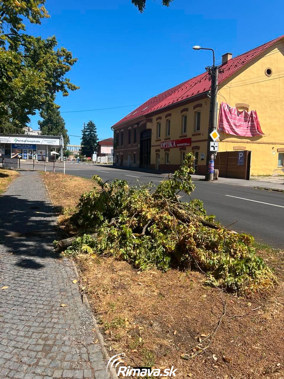Stromy v Rimavskej Sobote