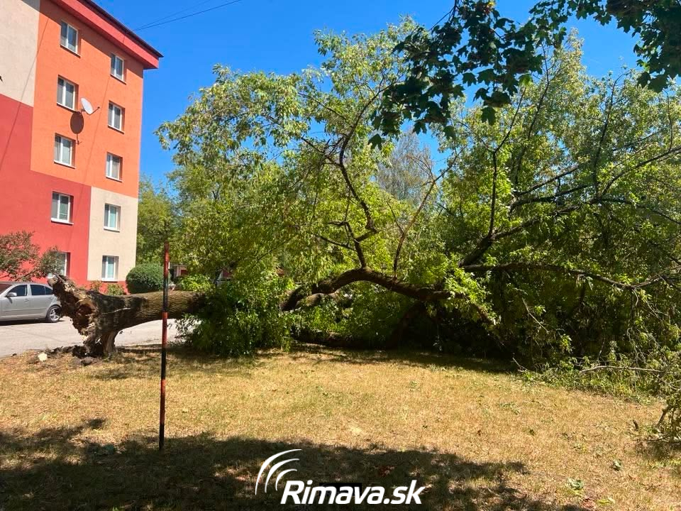 Stromy v Rimavskej Sobote