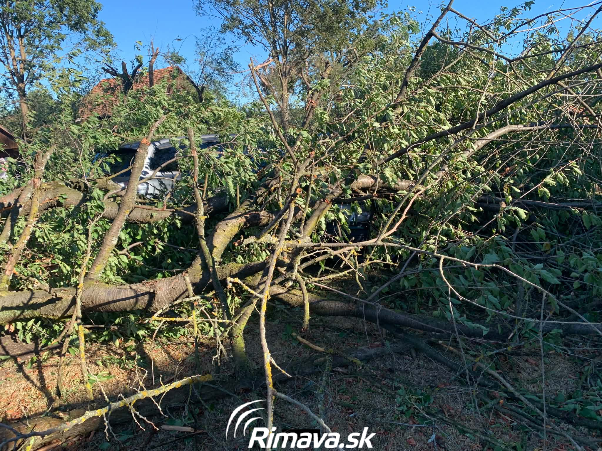 veterna-smrst-bottovo-rimavask-