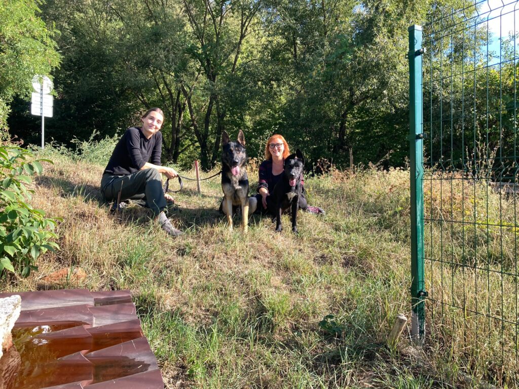 Návštevníci venčia psy z útulku Šťastné labky počas Dňa otvorených dverí