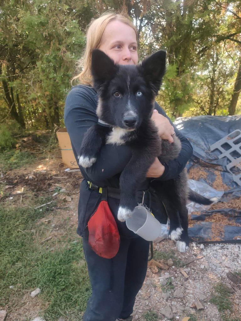 Deň otvorených dverí v útulku Šťastné labky vo Fiľakove