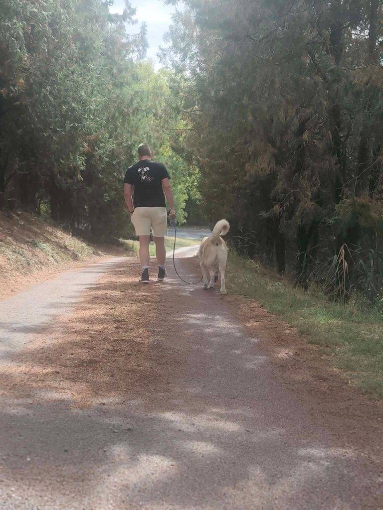Deň otvorených dverí v útulku Šťastné labky vo Fiľakove