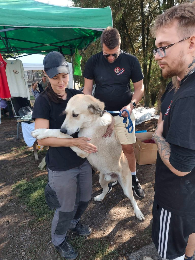 Deň otvorených dverí v útulku Šťastné labky vo Fiľakove