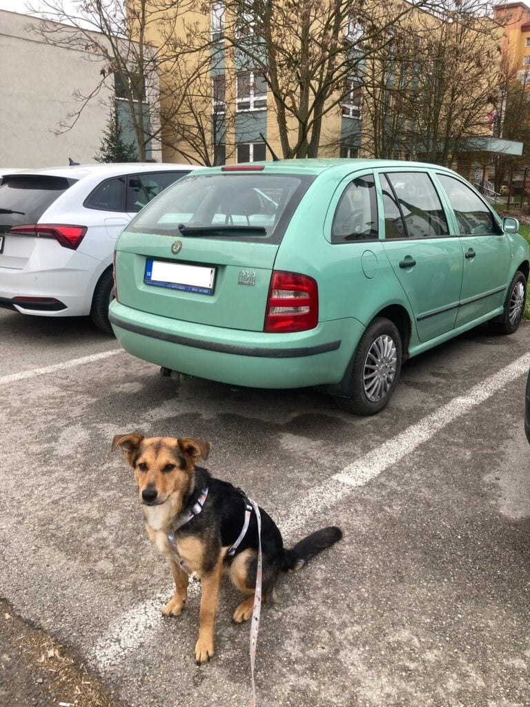 Škoda Fabia v kultovej farba zelená Fantasy z rokov 1999 až 2002.