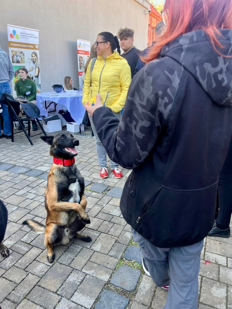 Iden na strednú Stredné školy z troch okresov predstavili žiakom svoje odbory aj praktické ukážky. Foto: Rimava.sk