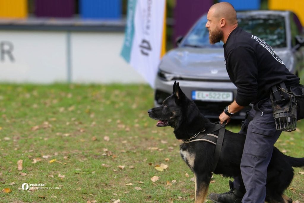 kynologická súťaž polície rimavksá sobota mylord