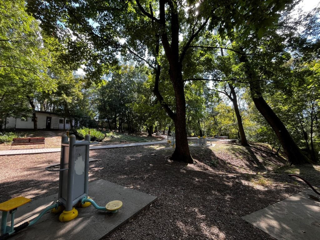 Park hôrka vyruv velky krts