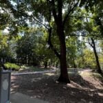 Park hôrka vyruv velky krts