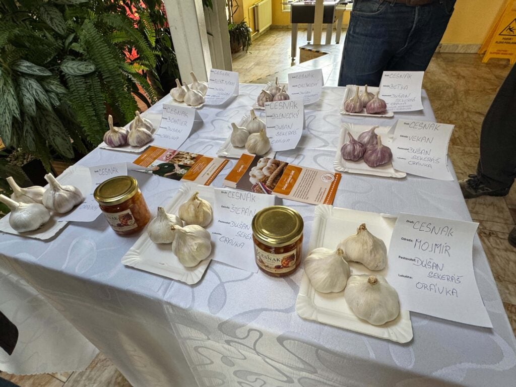 3. krajské drožinky v Rimavskej Sobote.