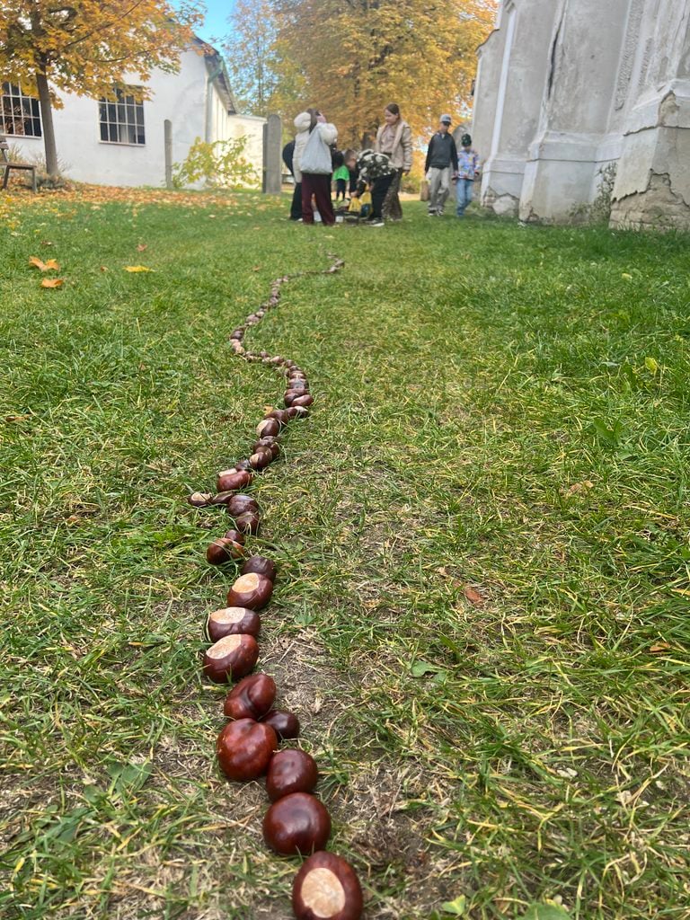 Rekord, ktorý nakŕmi les gaštanový had