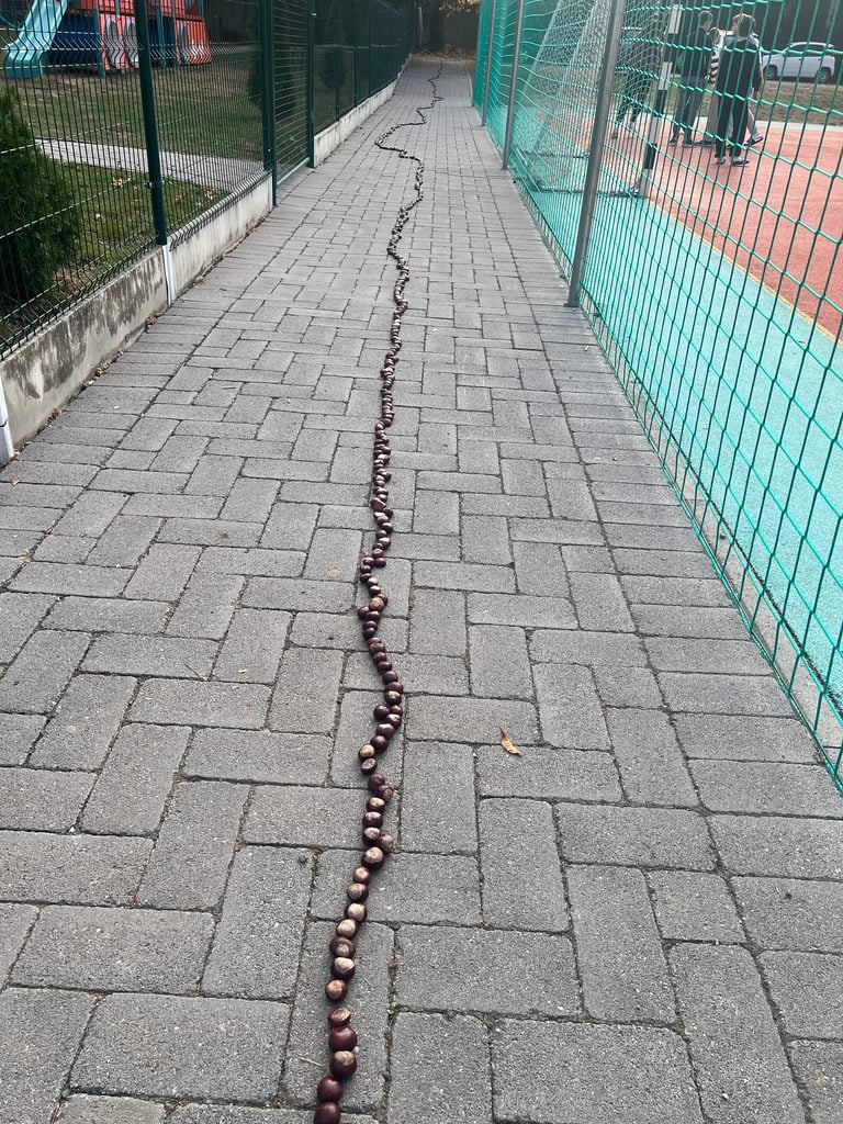 Rekord, ktorý nakŕmi les had okolo budovy