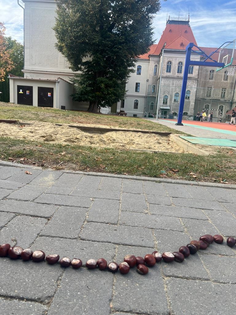Rekord, ktorý nakŕmi les had okolo budovy