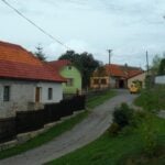 lipovec