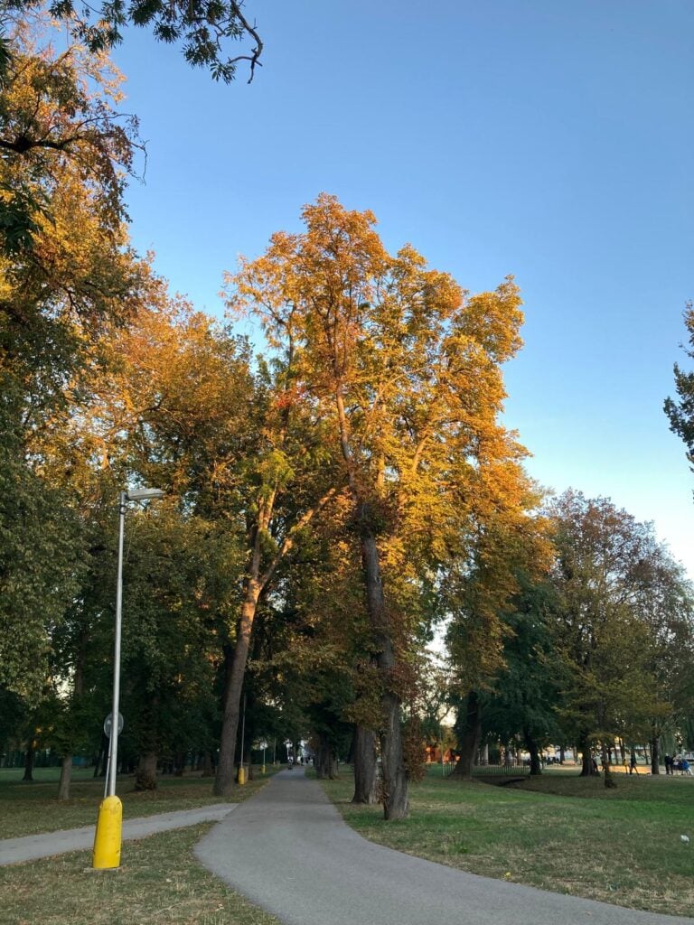 Pagaštan si nazbierate aj v mestskej záhrade.