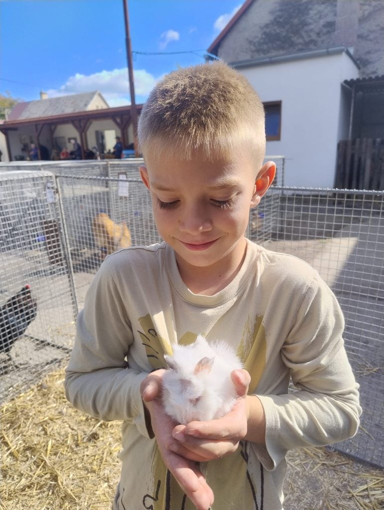 Chlapec drží v rukách malého králika na výstave hydiny v Čerenčanoch